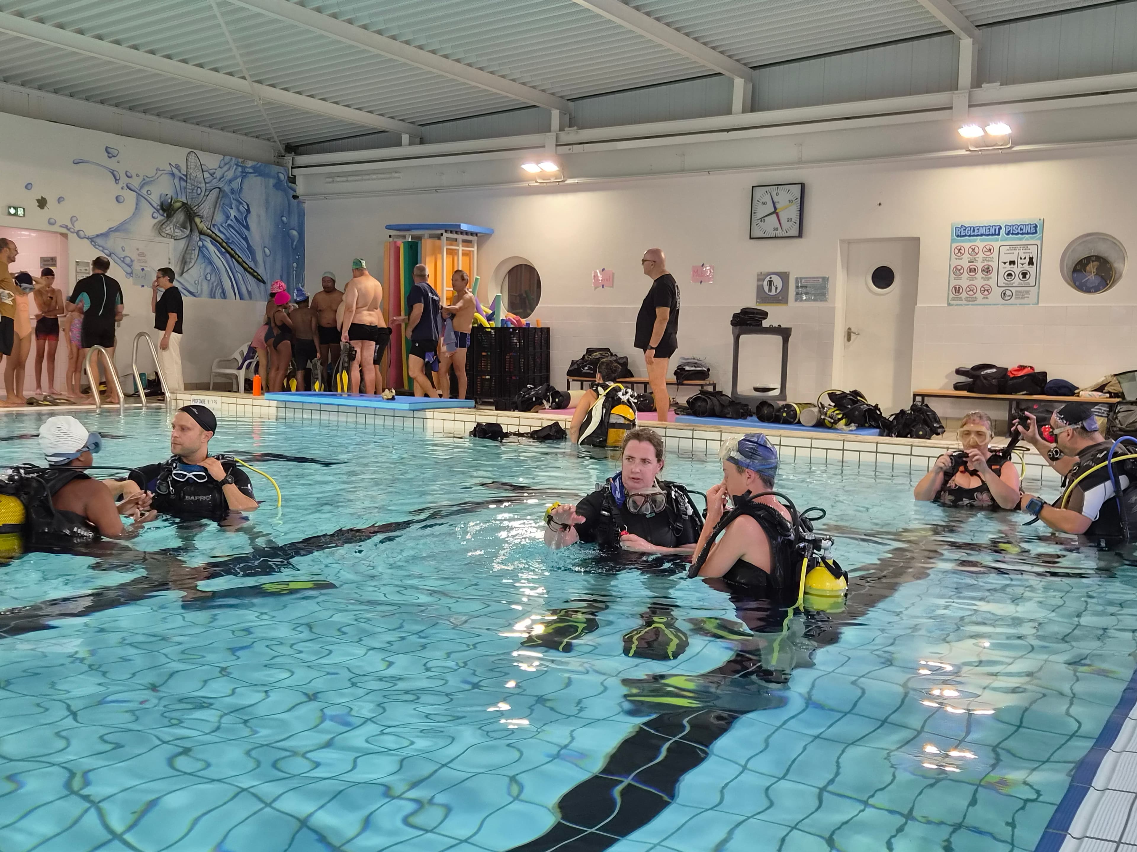 Plongeurs en formation dans un bassin