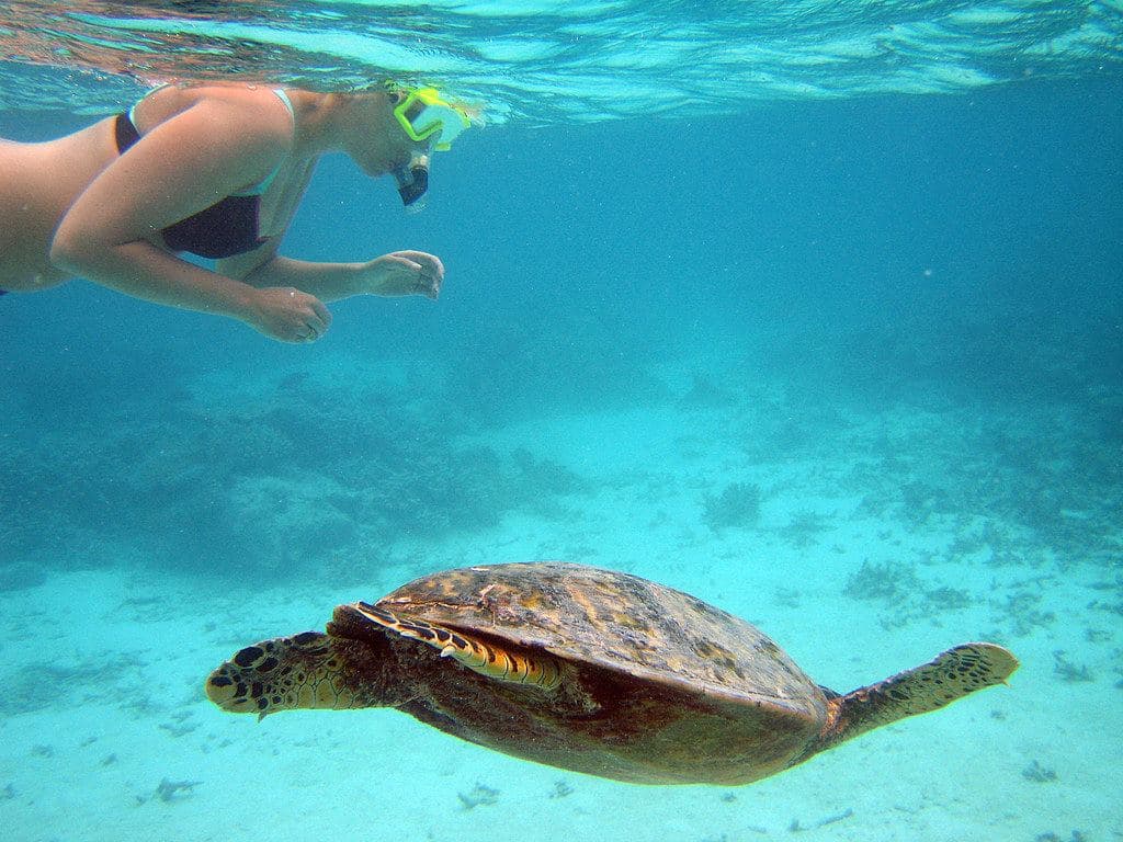 Enfant s'initiant au snorkeling en mer